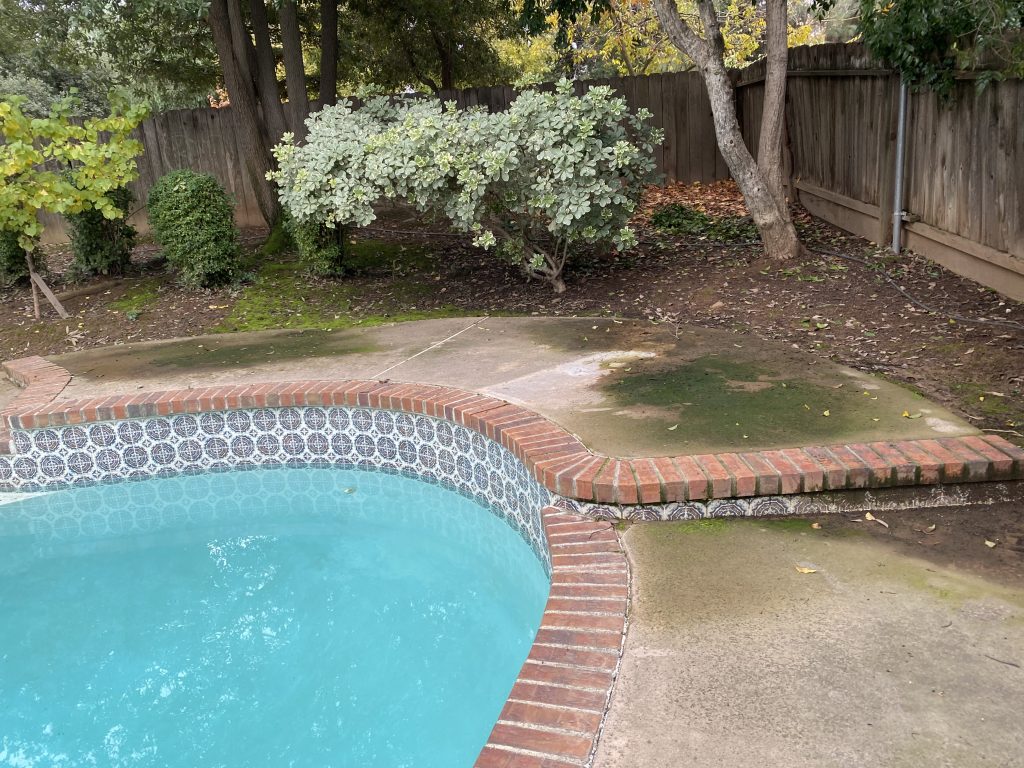 Before construction view of the Wedemeyer backyard showing the steep slope above the existing pool deck before grading, drainage improvements, and retaining wall construction.